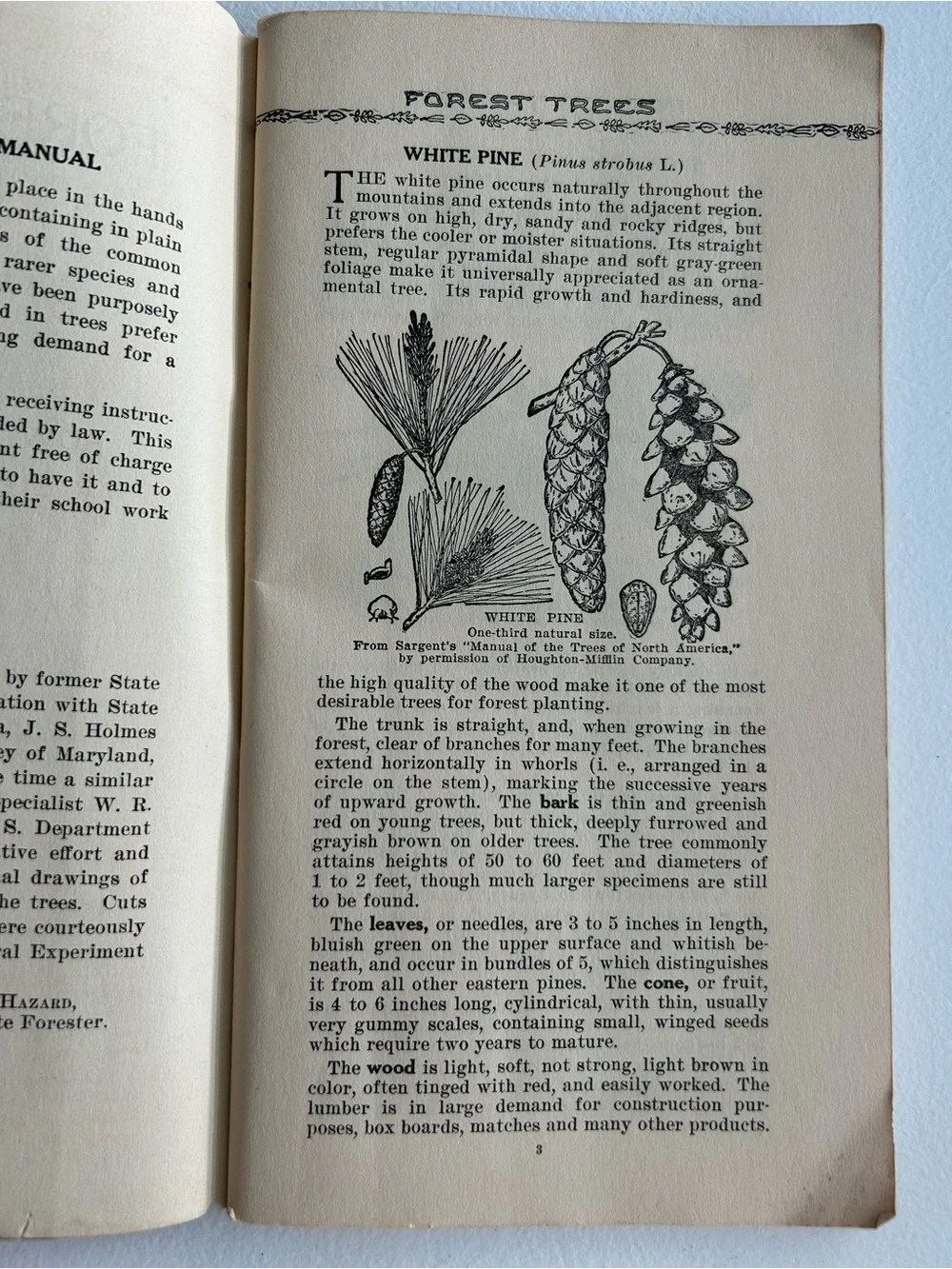 1933 Vintage Common Forest Trees of Tennessee Book 8th Ed Botany Forestry Guide